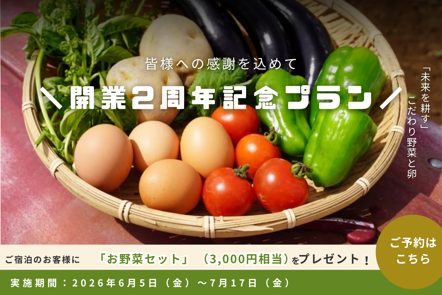 2周年記念プラン