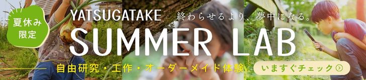 SUMMER LAB