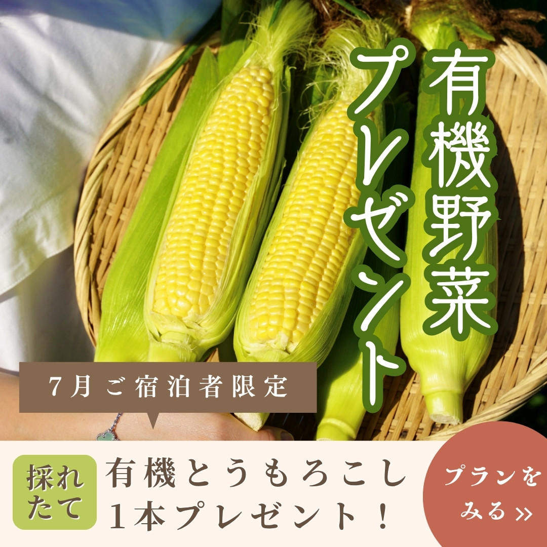 有機野菜プレゼント